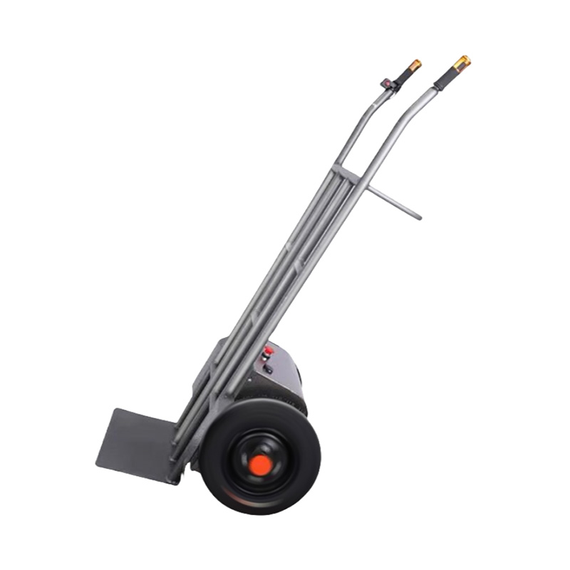 Coche tigre eléctrico de dos ruedas